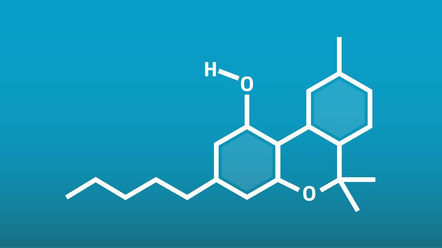 synthetic vs natural cannabinoids