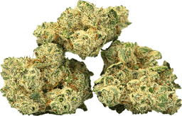 Burmese Kush